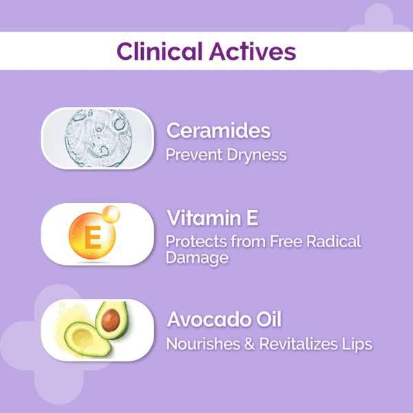 The derma co 1% Ceramide Complex Lip Balm with Ceramides & Vitamin E, SPF 30 PA++, 4 GM