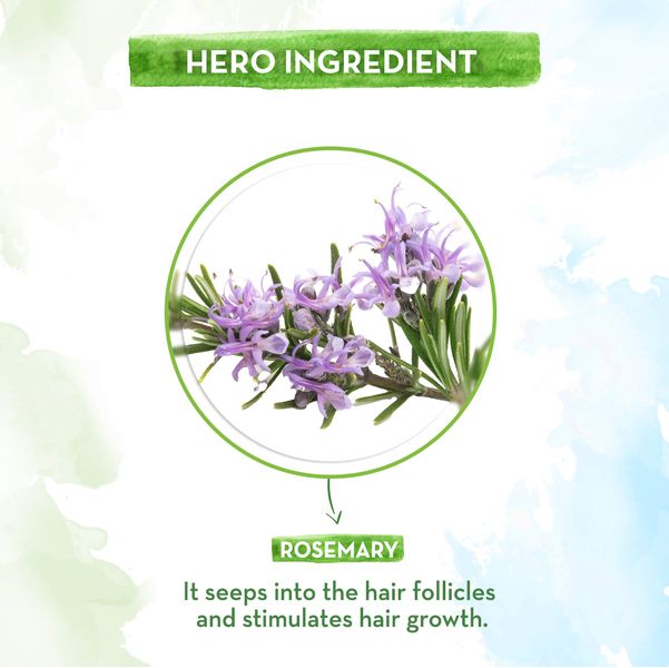 Mamaearth Rosemary Essential Oil, 15 ML