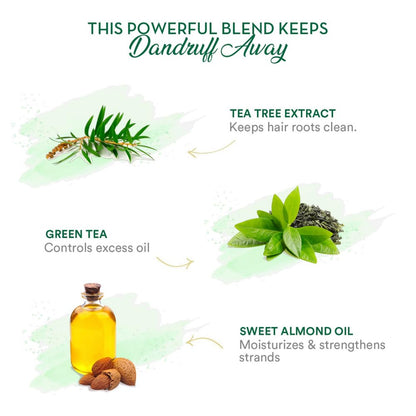 WOW SKIN SCIENCE GREEN TEA & TEA TREE ANTI DANDRUFF CONDITIONER, 300ML