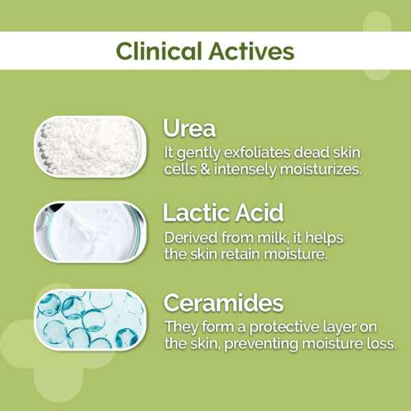 The Derma Co. 4% Urea Deep Moisturizing Cream, 100 GM